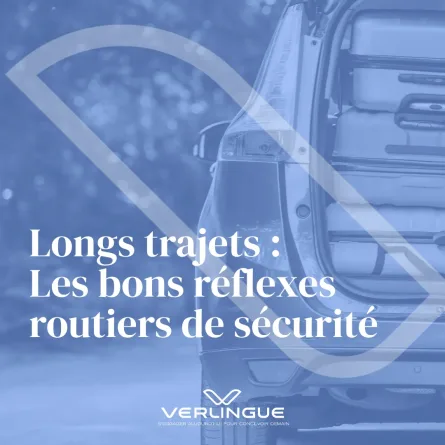 Reflexes routiers