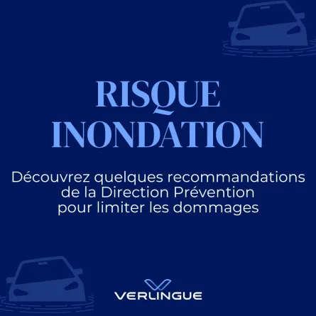 Découvrez les recommandations
