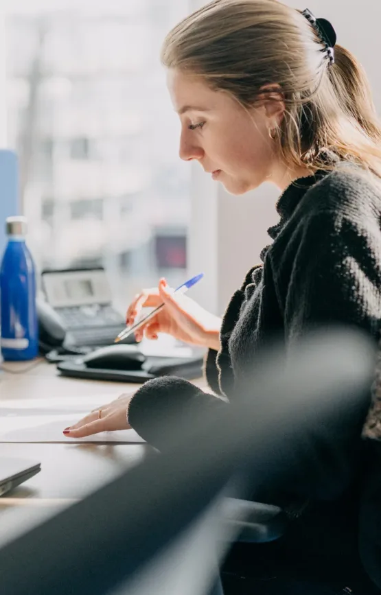 professionnelle verlingue